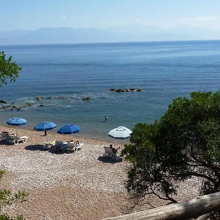 Sunrise Village Hotel 4*